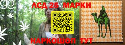 PSILOCYBIN Малоярославец
