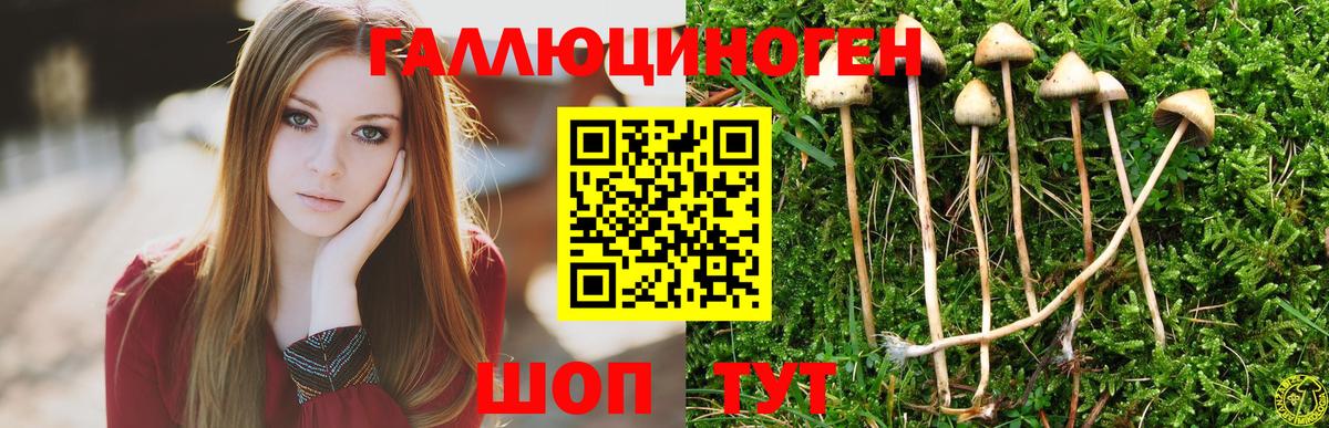Галлюциногенные грибы GOLDEN TEACHER Зеленогорск
