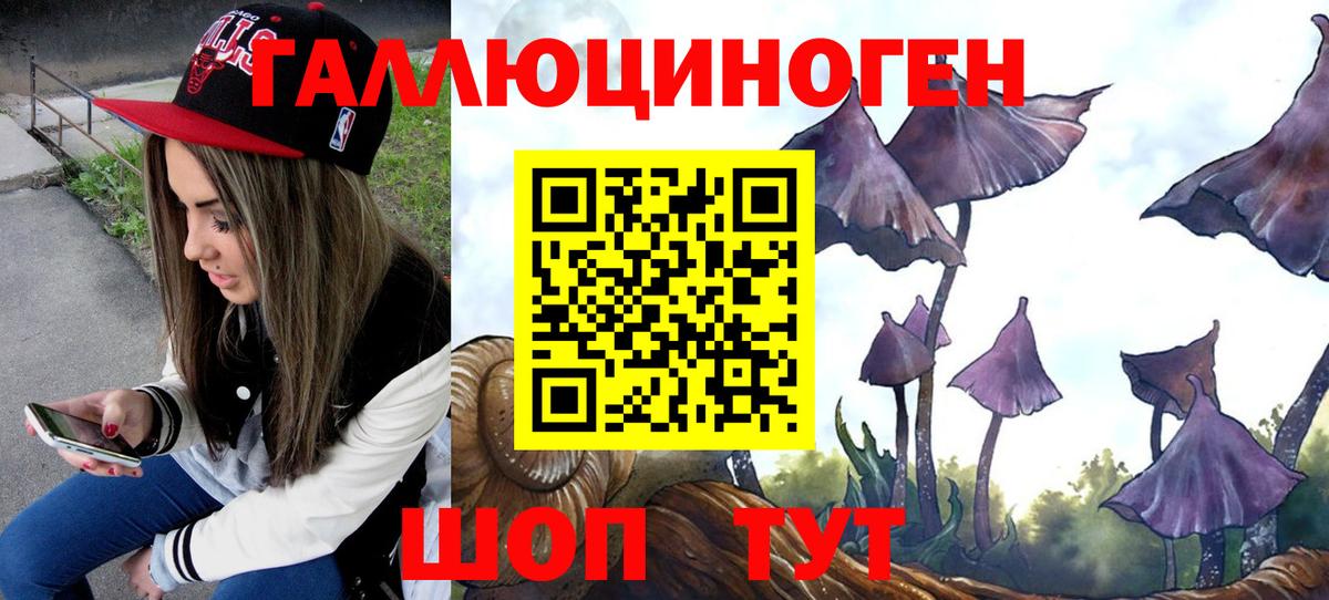 как найти закладки  Галлюциногенные грибы Psilocybine cubensis  Псилоцибиновые грибы Magic Shrooms  Вход с VPN  Зеленогорск 